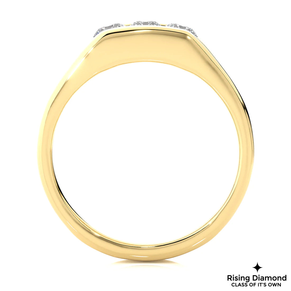 0.31 CTW Round Cut Colorless Moissanite Wedding Band