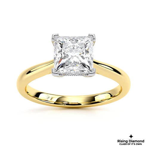 1.15 CT E/VS1 Princess Cut Lab Grown Diamond Engagement Ring