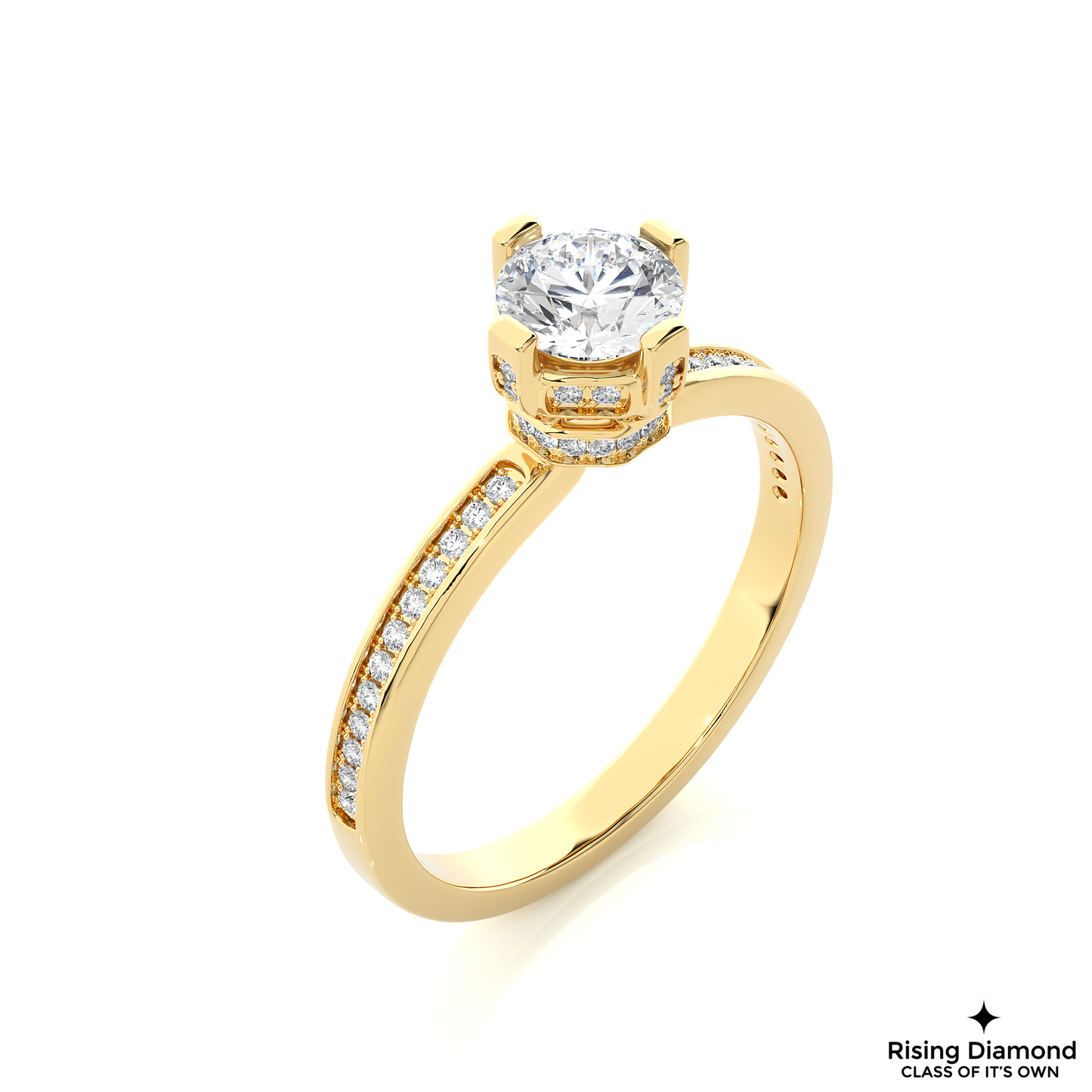 1.01 CT Round Cut Lab Diamond Engagement Ring in Hidden Halo Setting With Pave Shank