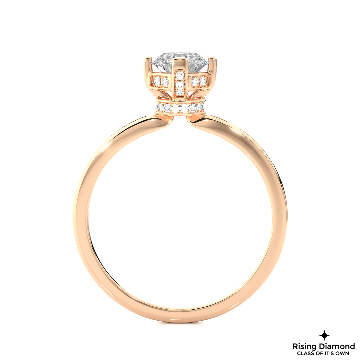 1.01 CT Round Cut Lab Diamond Engagement Ring in Hidden Halo Setting With Pave Shank