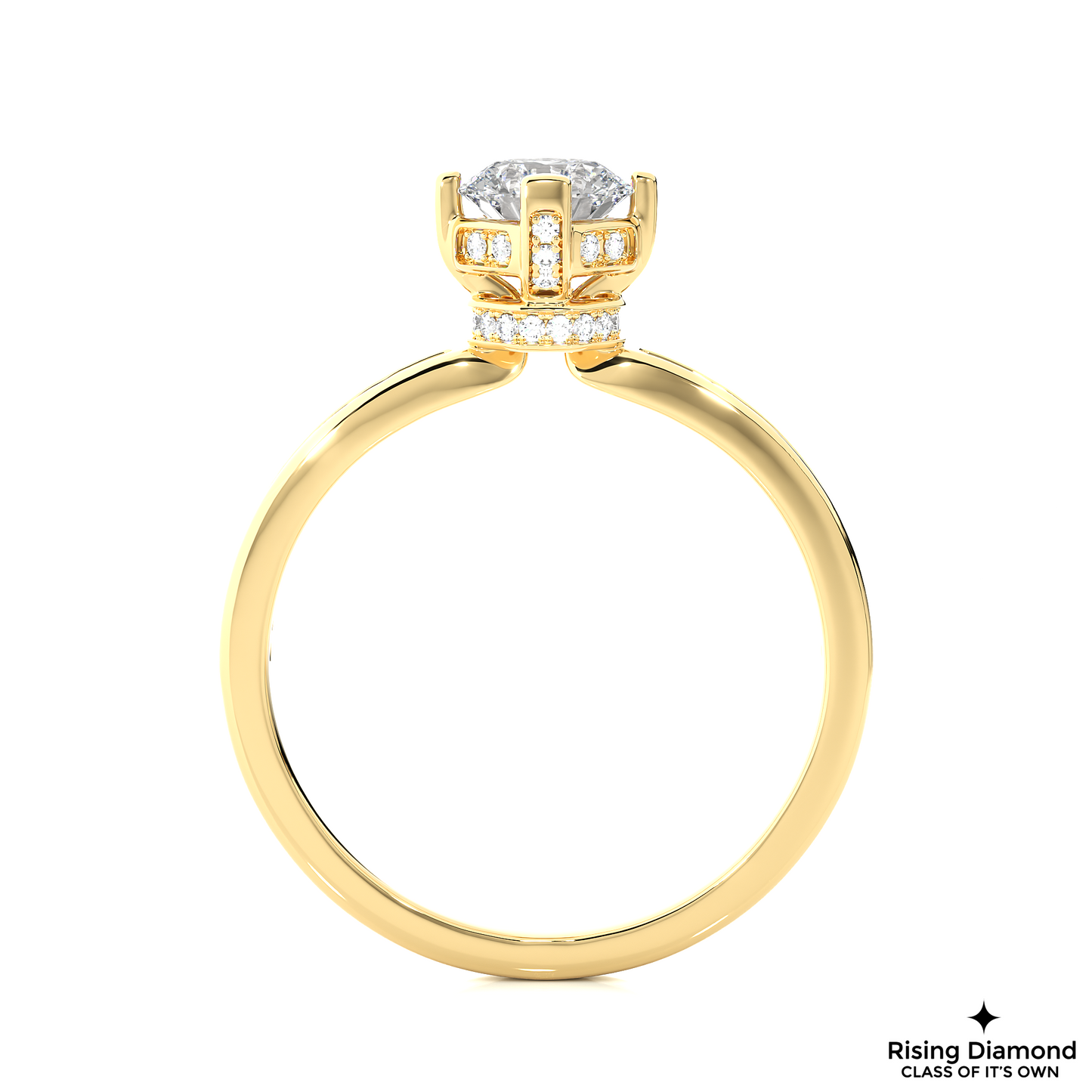 1.01 CT Round Cut Lab Diamond Engagement Ring in Hidden Halo Setting With Pave Shank